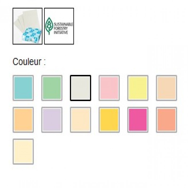 Colour and Multipurpose Paper