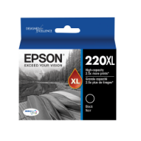 Epson -CEPS-T220XL120-PT_1