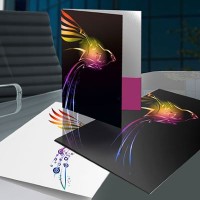    Fast And Few Presentation Folders_1
